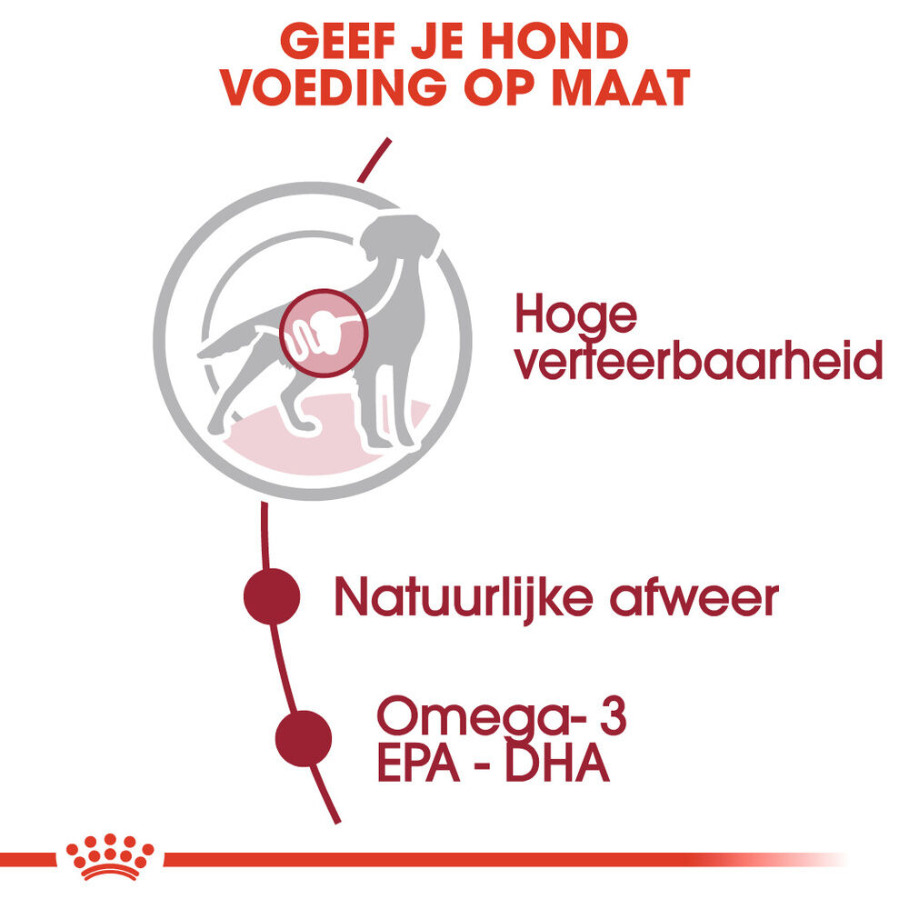 Royal Canin Medium Adult - Hondenvoer - 1400 Gram - gevogelte