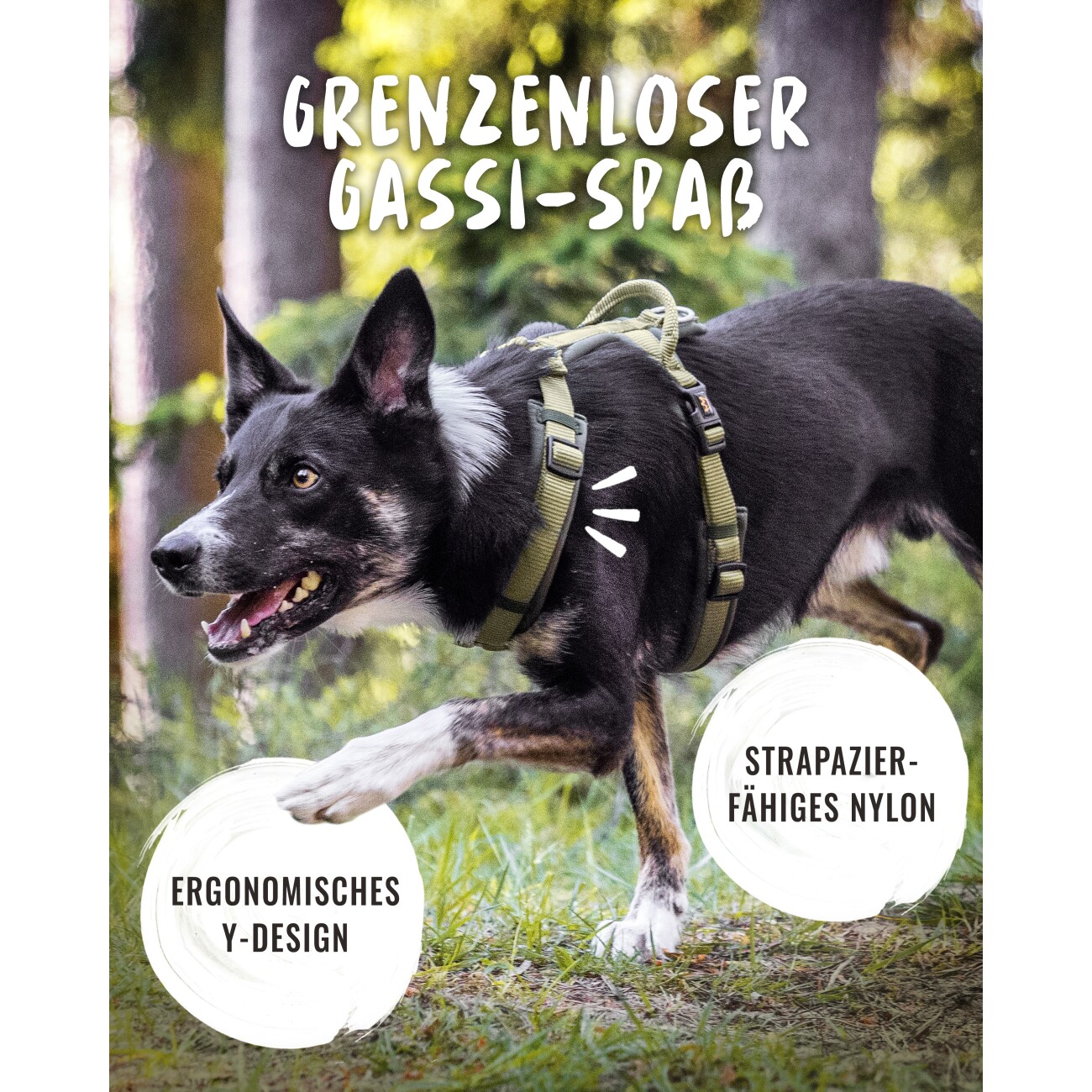 Rudelkönig Hundegeschirr - Gepolstertes Brustgeschirr grün S