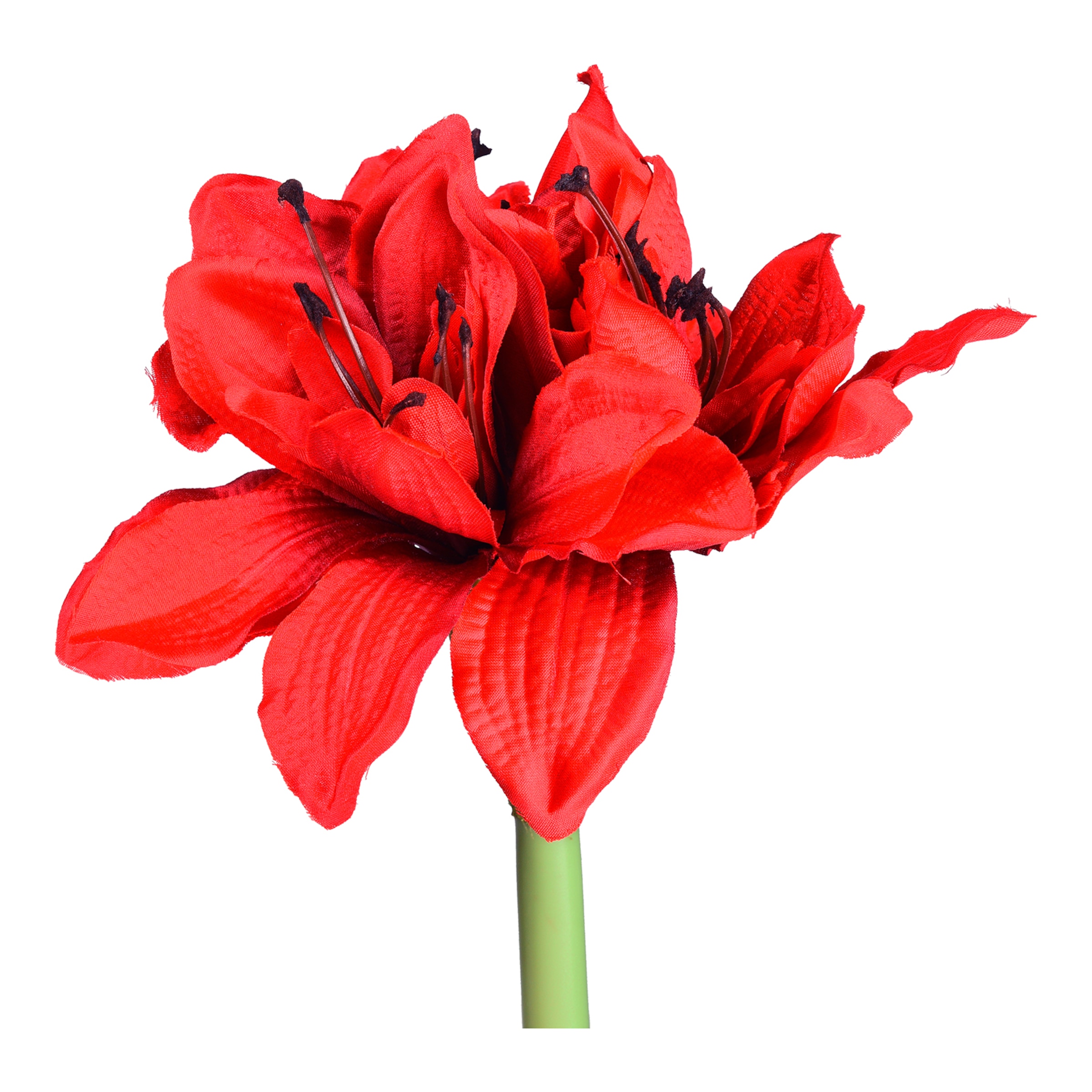 rot, L 71 cm