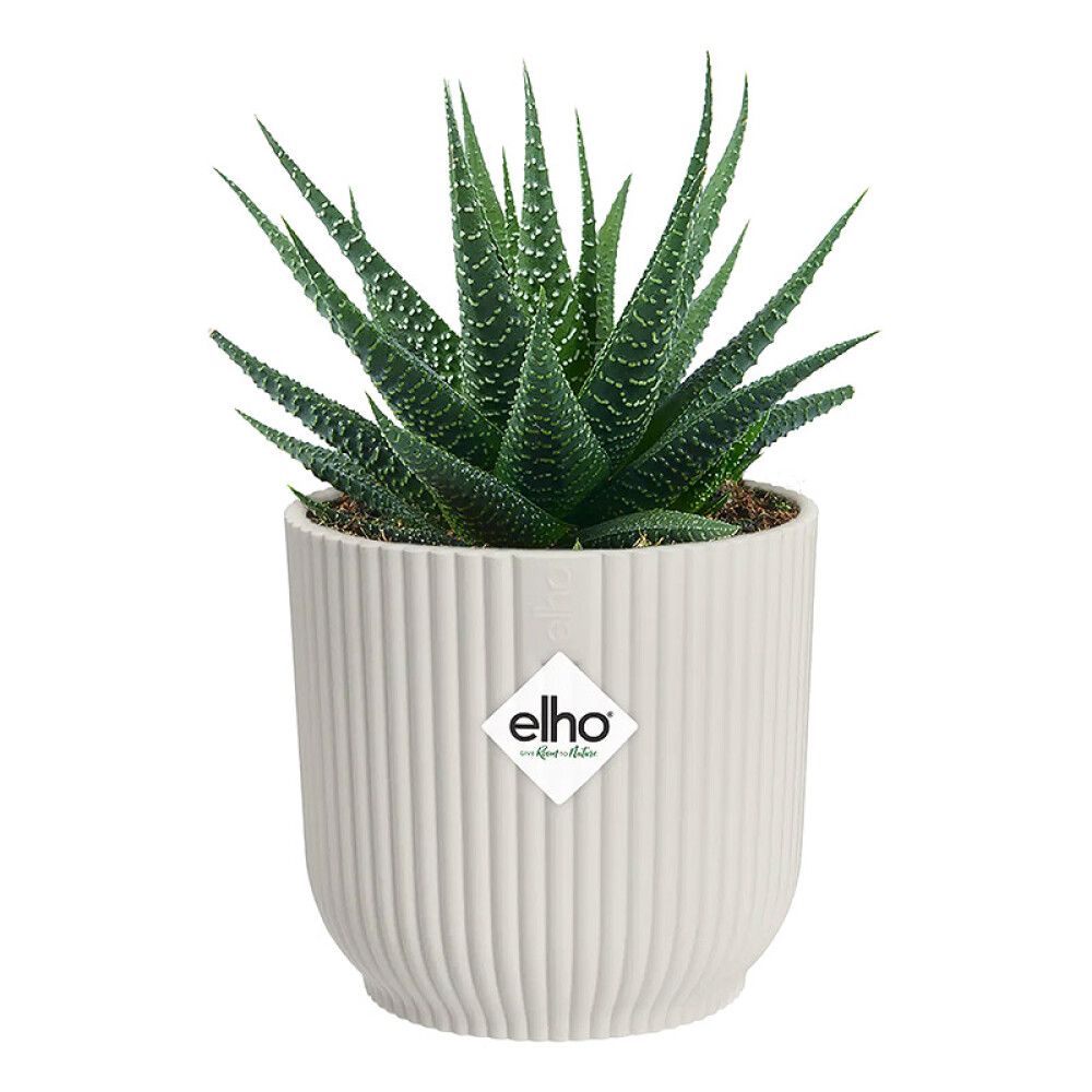 INNEPOTTE ELHO VIBES FOLD ROUND MINI Ø11CM HVIT