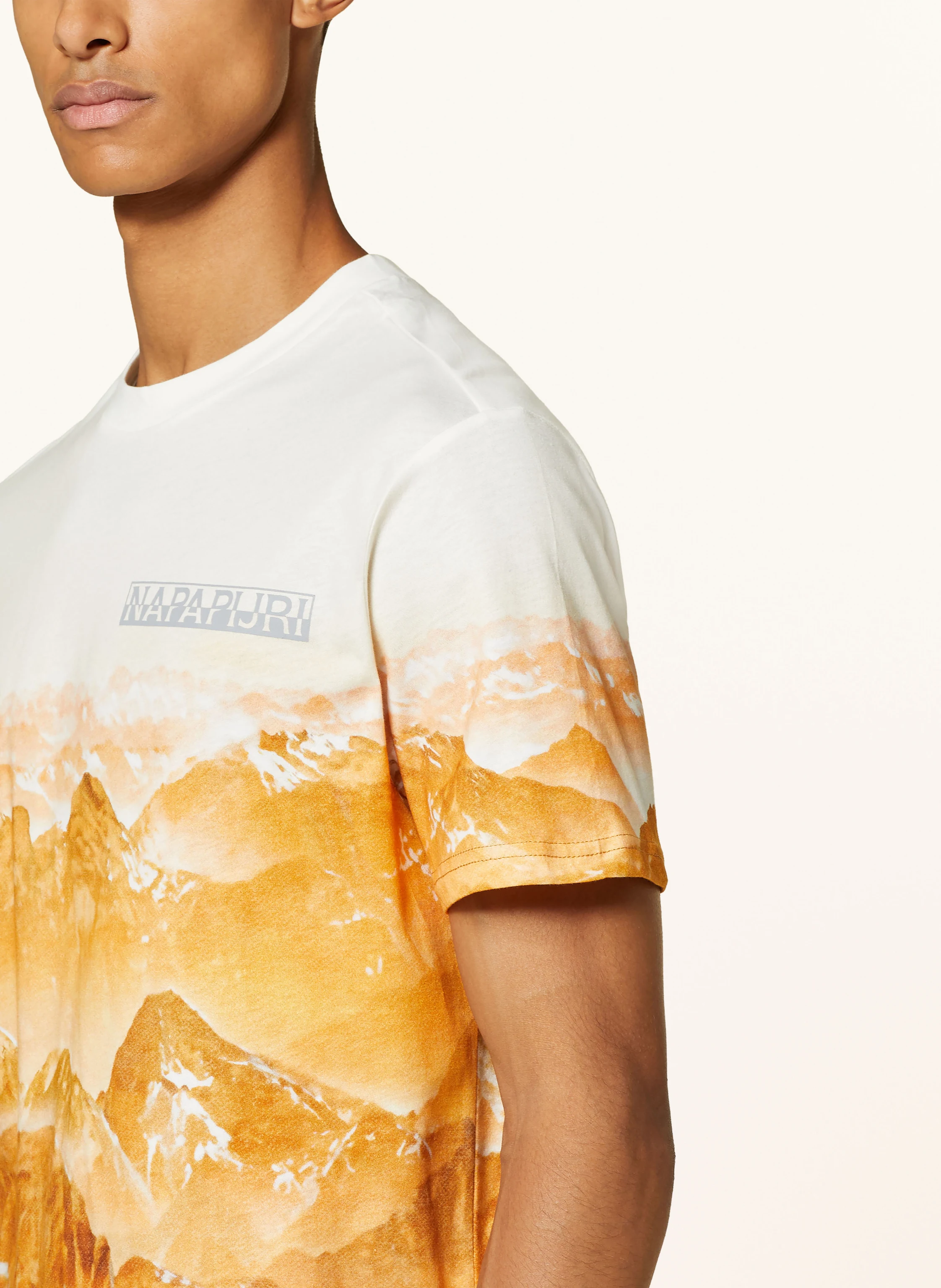 NAPAPIJRI T-Shirt DUNNERN