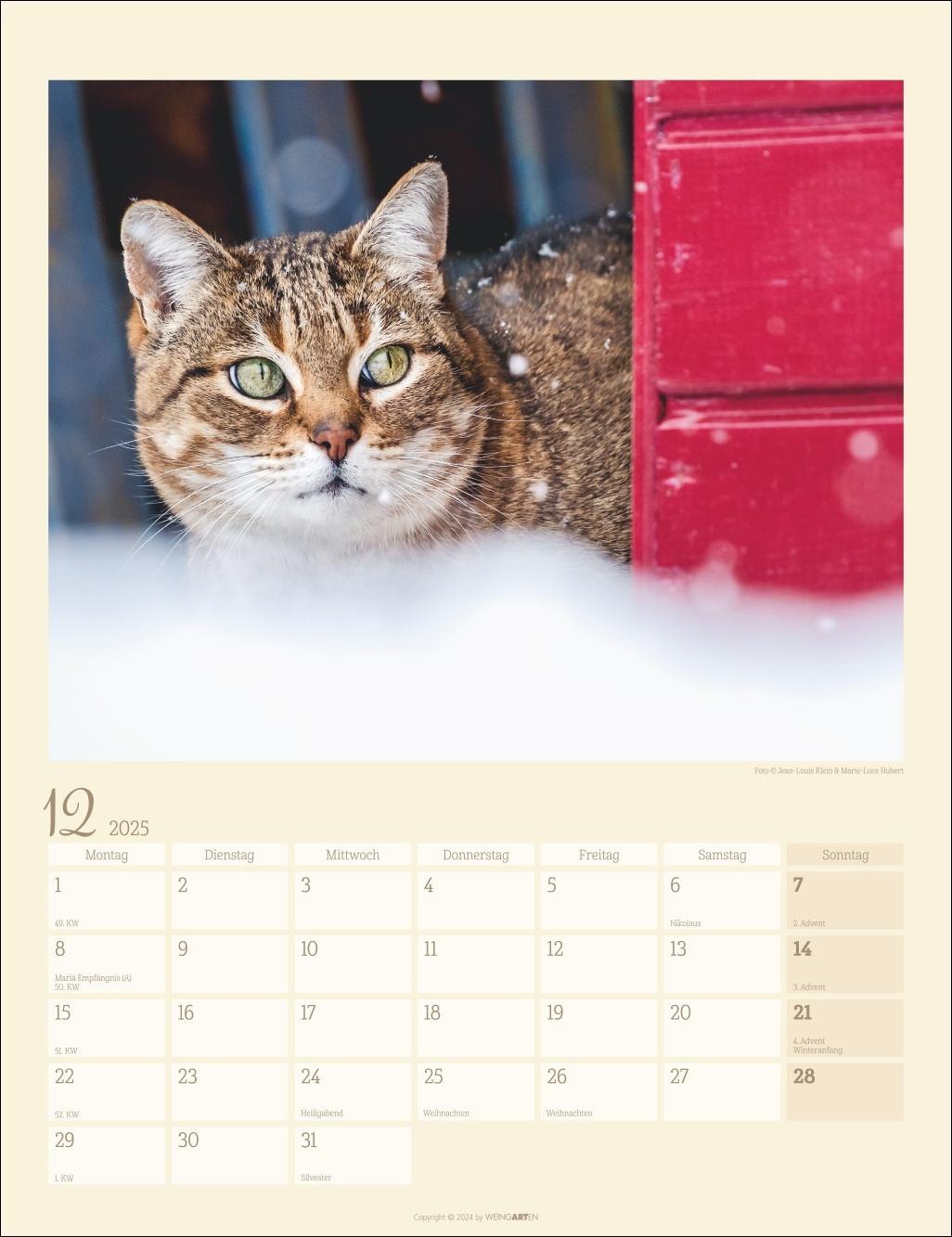 Katzen auf dem Lande Kalender 2025