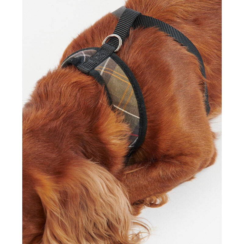 Tartan Dog Harness - Harnais pour chien
