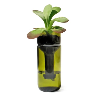 Pflanzgefäß Self Watering Bottle, Grün