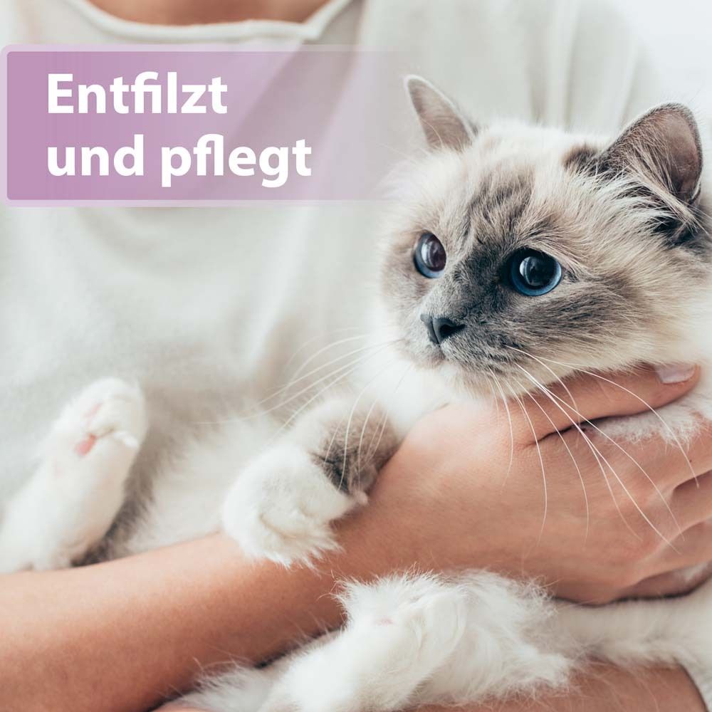 Felisept® Fellpflege Spray für Katzen