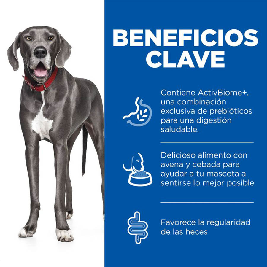 Ração para cães adultos de porte grande Hill's Science Plan Perfect Digestion com sabor de frango