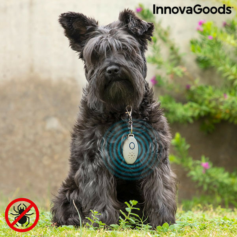 Répulsif anti-nuisible à ultrasons rechargeables pour les animaux de compagnie petrep