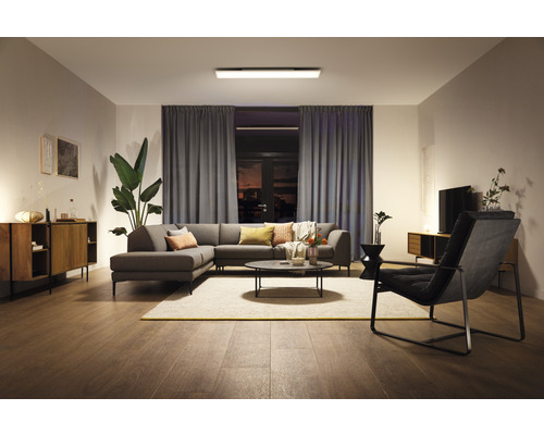 Philips Hue Paneel White Ambiance 39W 3550 lm 30x120 cm wit + dimmer - Compatibel met SMART HOME van Hornbach