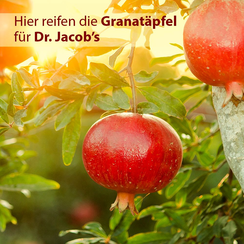 Dr. Jacob's GranaProstan Granatapfelsaft-Extrakt fermentiert Polyphenole