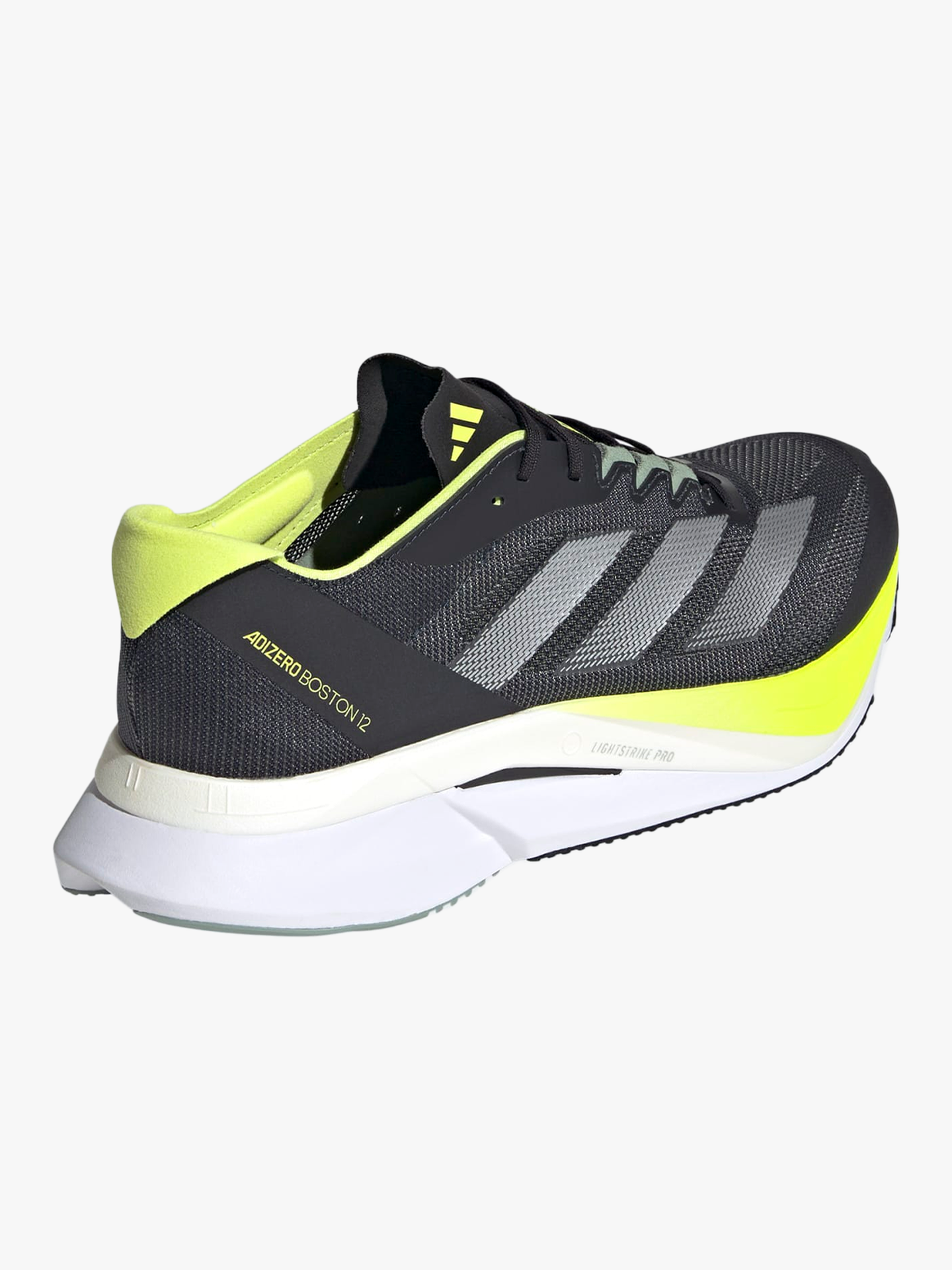 Adizero Boston 12