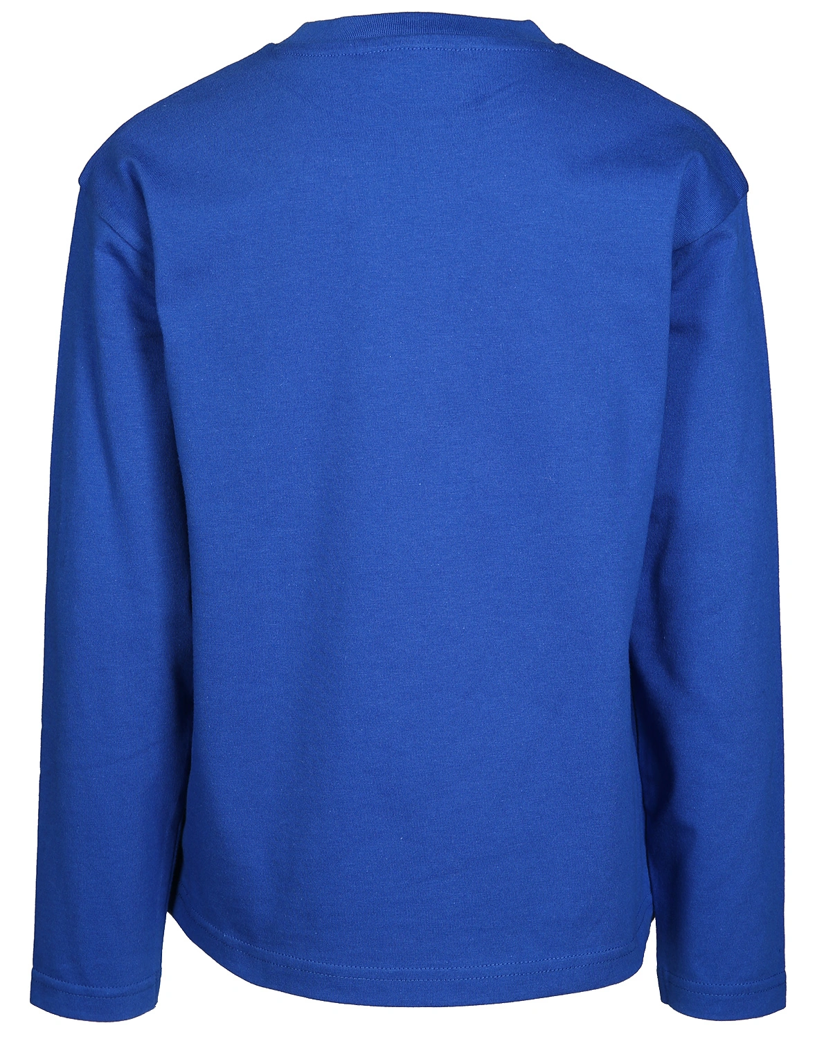 Langarm-Shirt THE EARTH in indigoblau