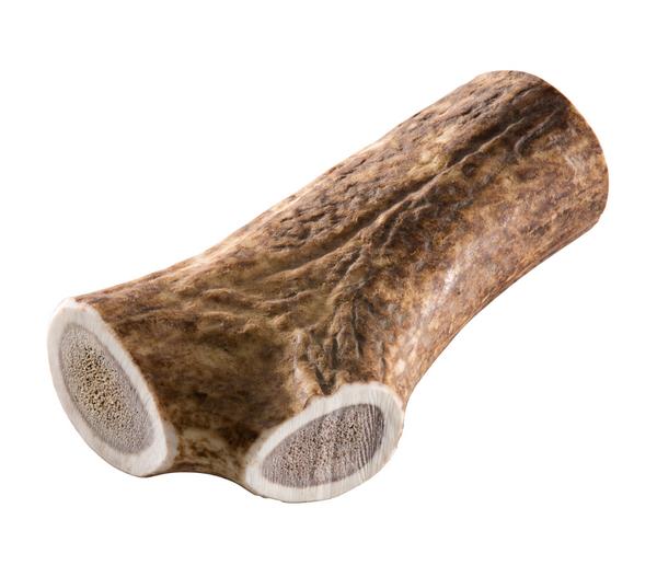 Chewies Hundesnack Geweihstange