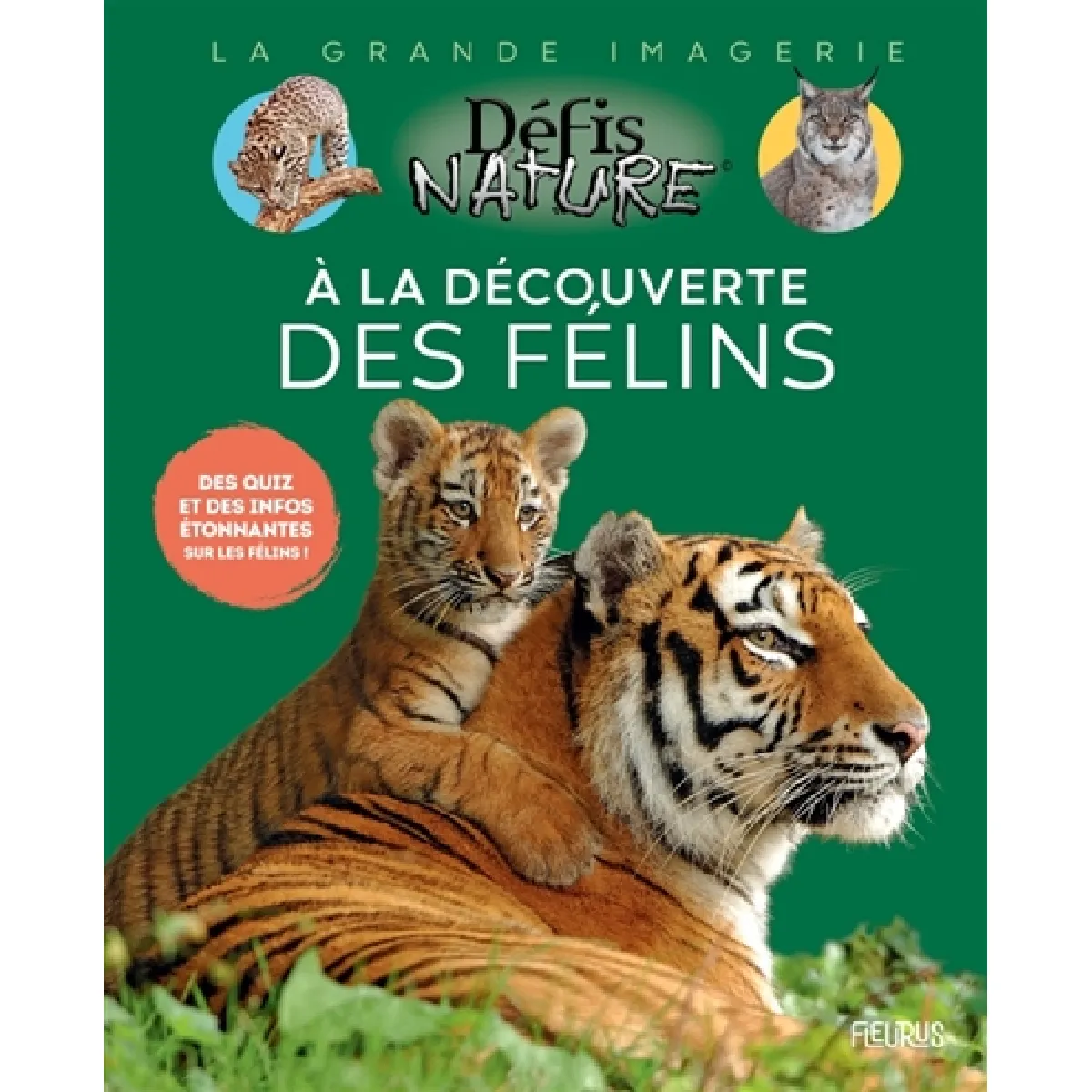 A la découverte des félins : des quiz et des infos étonnantes sur les félins !