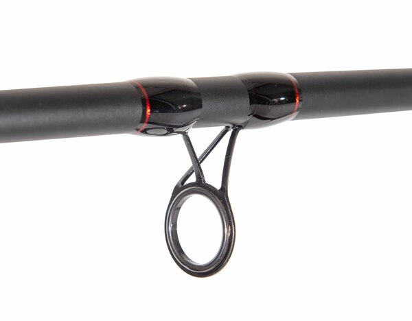 Canne à carpe Catchmax Specimen Stalker (20–80g)
