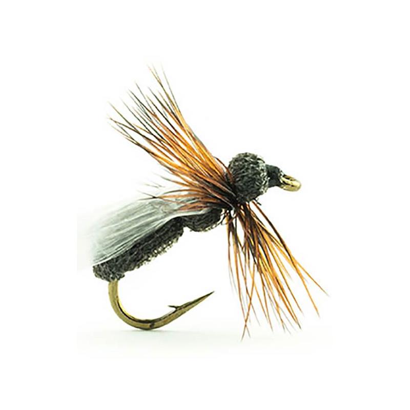 Mouche Devaux Terrestre Jbf 01 Bl