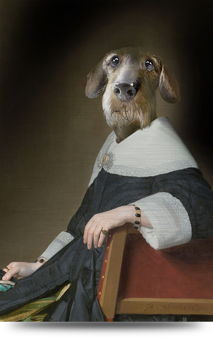 Canvas dierenportret Teckel Ruwharige teckel dame - 100 x 150 cm