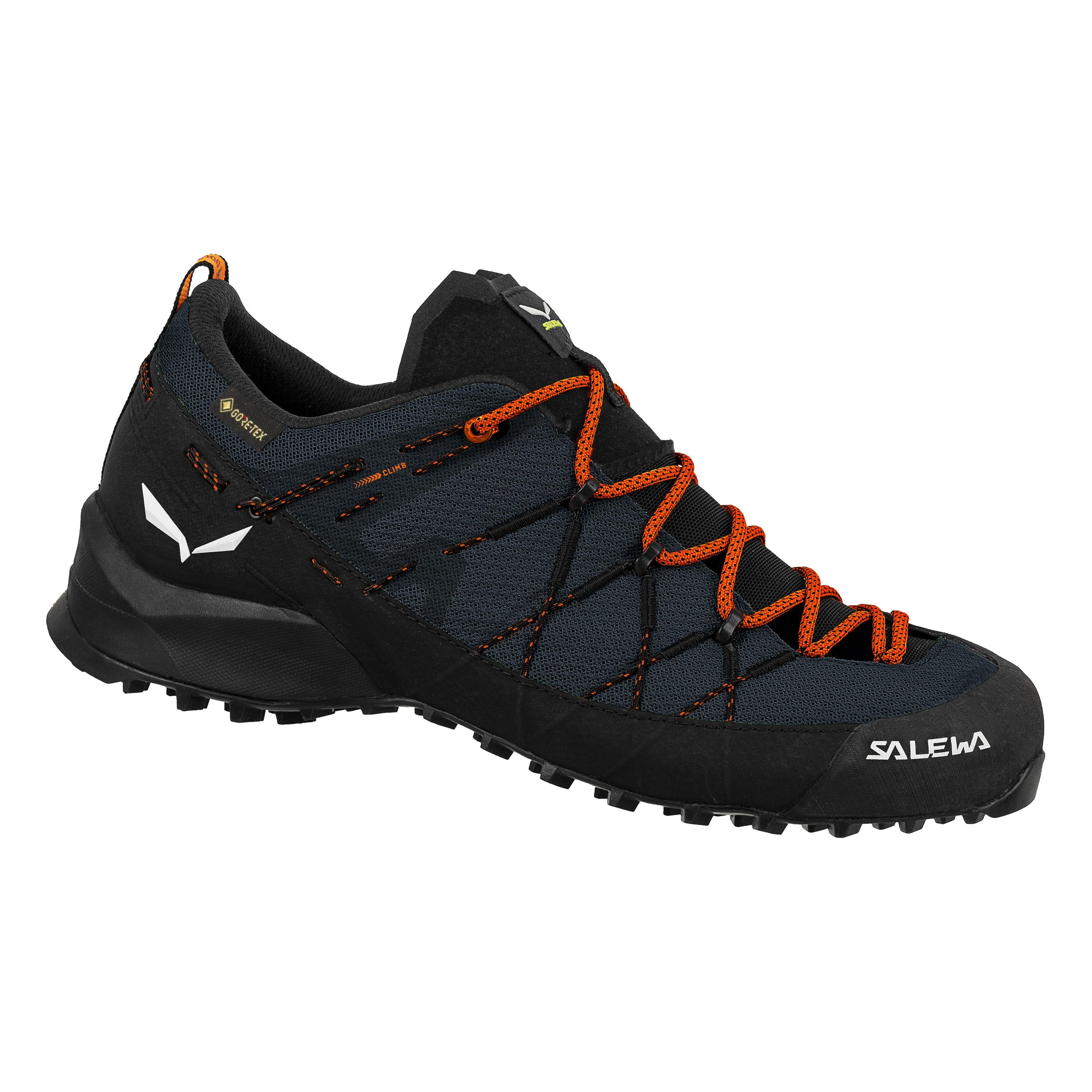 Wildfire 2 Gore-Tex® Schuh Herren