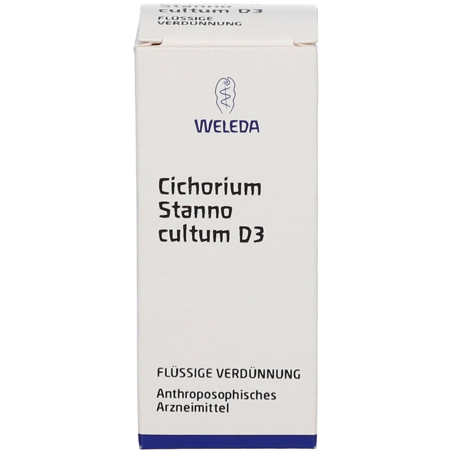 Cichorium Stanno Cultum D 3 Dilution