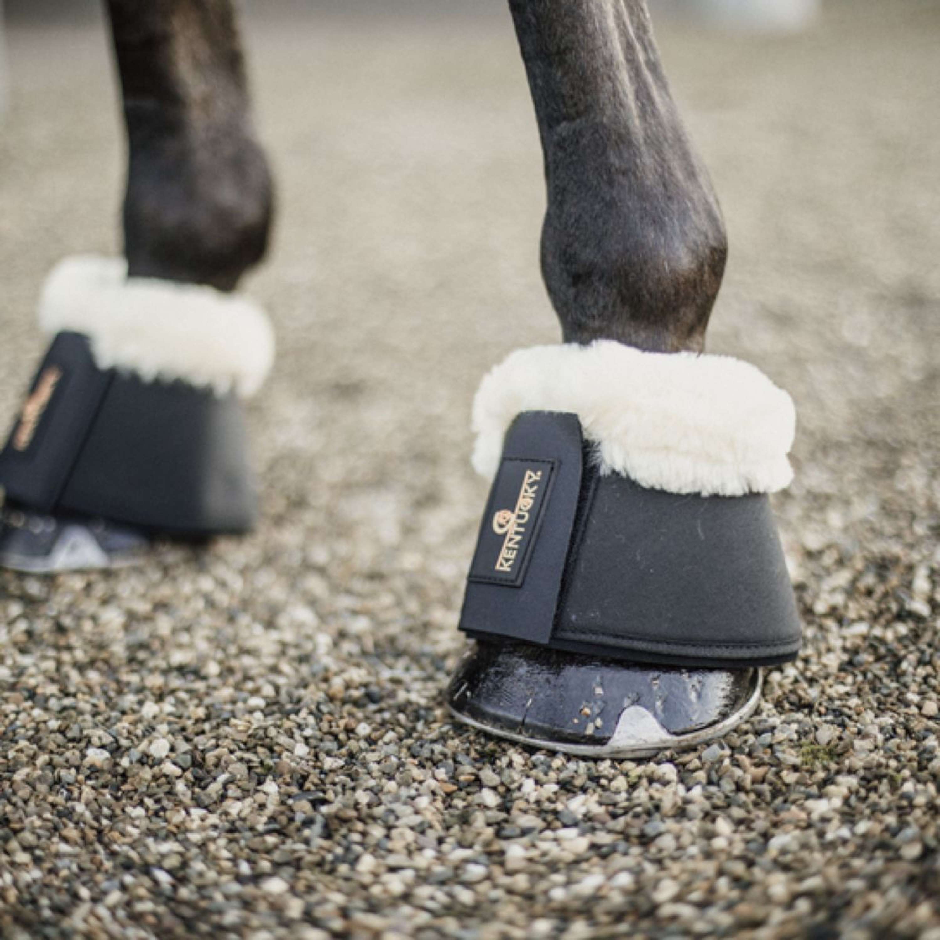 Kentucky Springschoenen Sheepskin Black