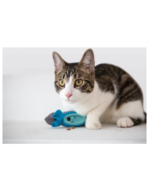 Doc & Phoebe's Indoor Hunting Cat Feeder - Kattenvoerbak - 20 x 23 x 5.3 cm Grijs Blauw