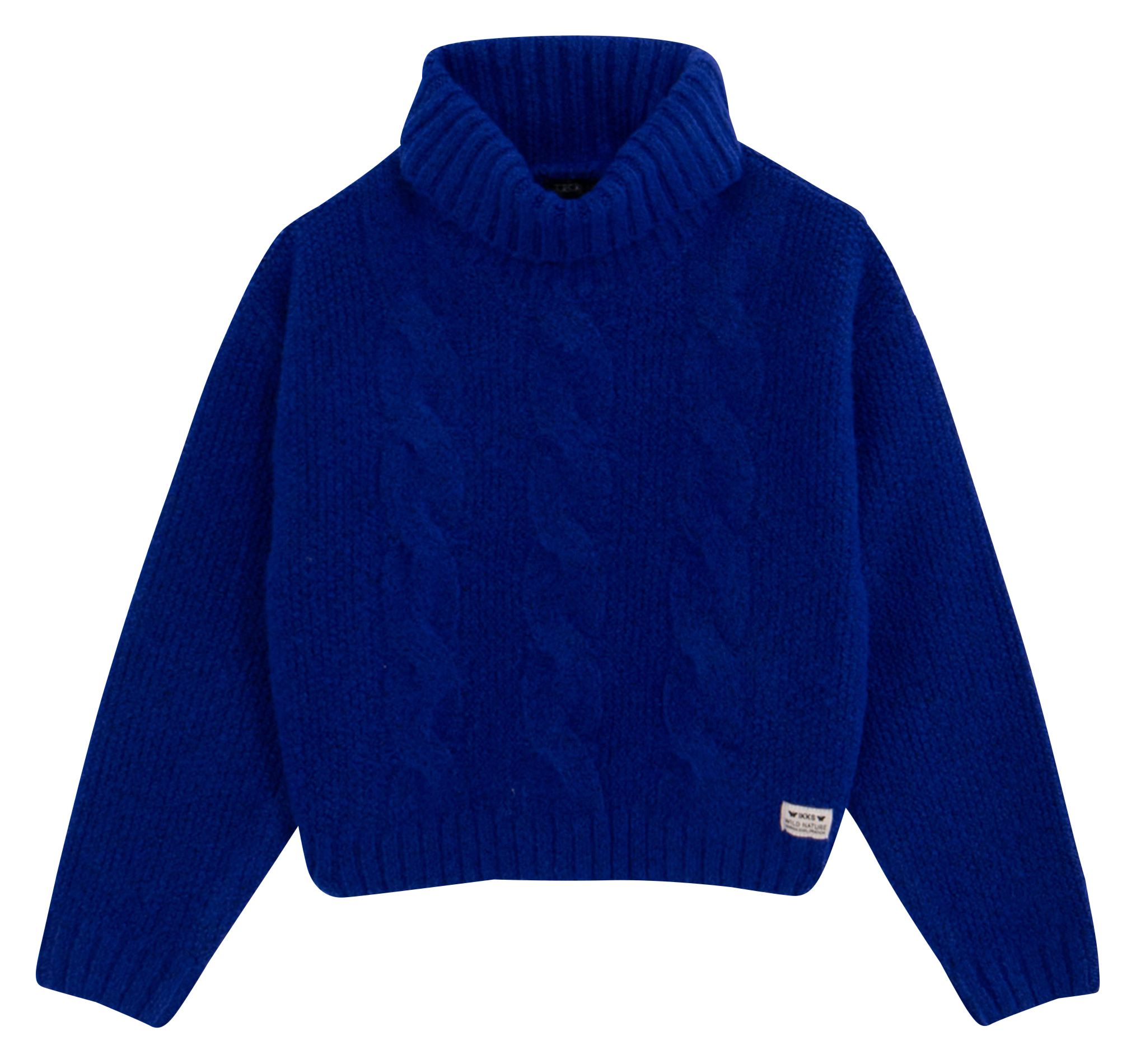 Pull droit col roulé | Bleu