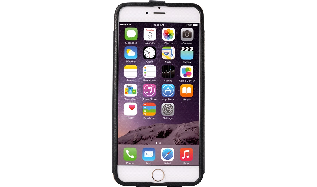 Læderetui Slim Card iPhone 6 PLUS