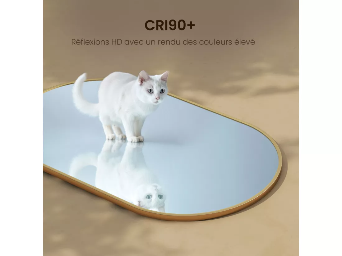 EMKE Miroir mural 60 × 80 cm Miroir ovale avec cadre doré, Miroir non lumineux salle de bain