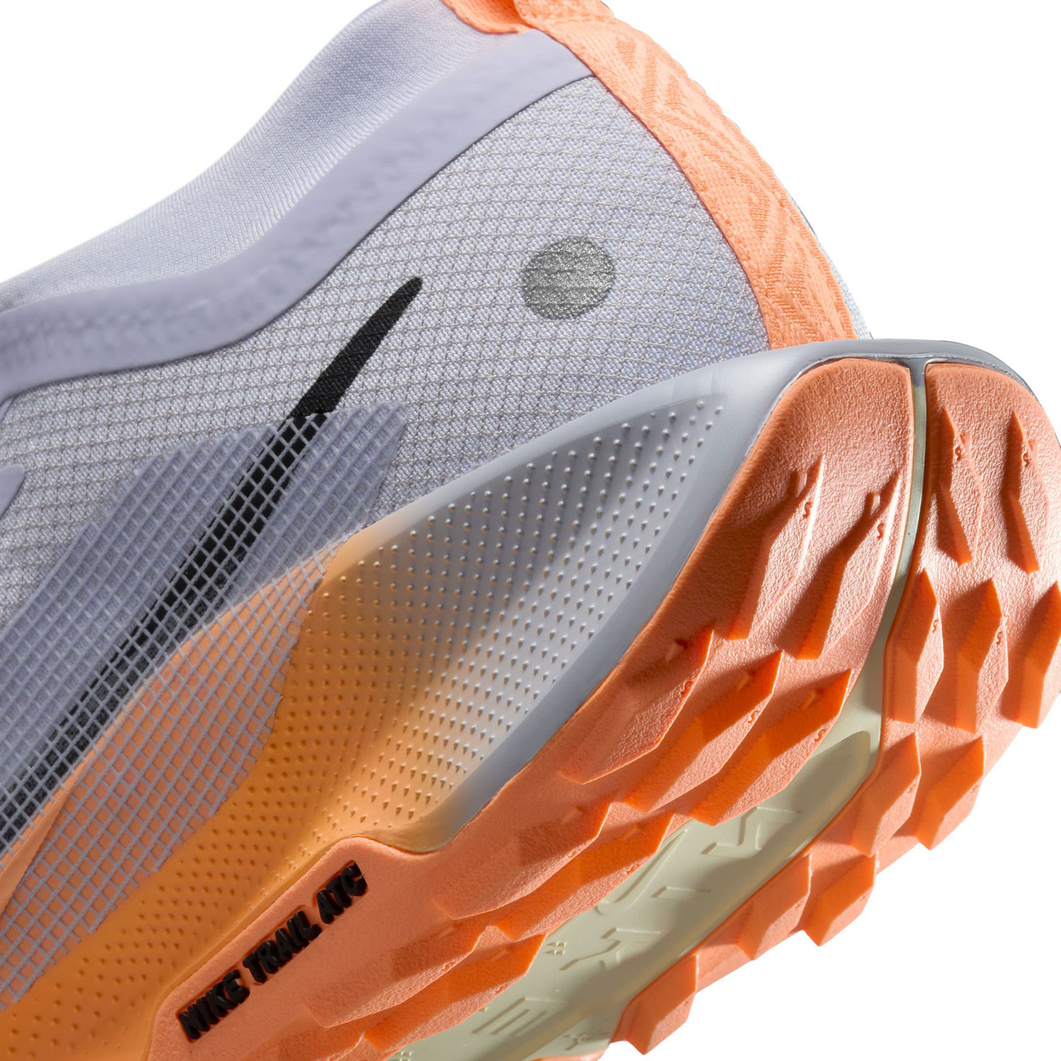 Nike Pegasus Trail 5 GTX Dames