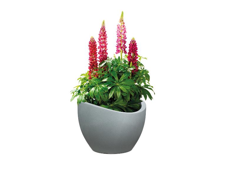 Plantenbak