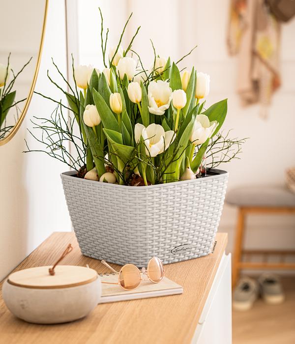 LECHUZA® Kunststoff-Topf Bacino Cottage inkl.