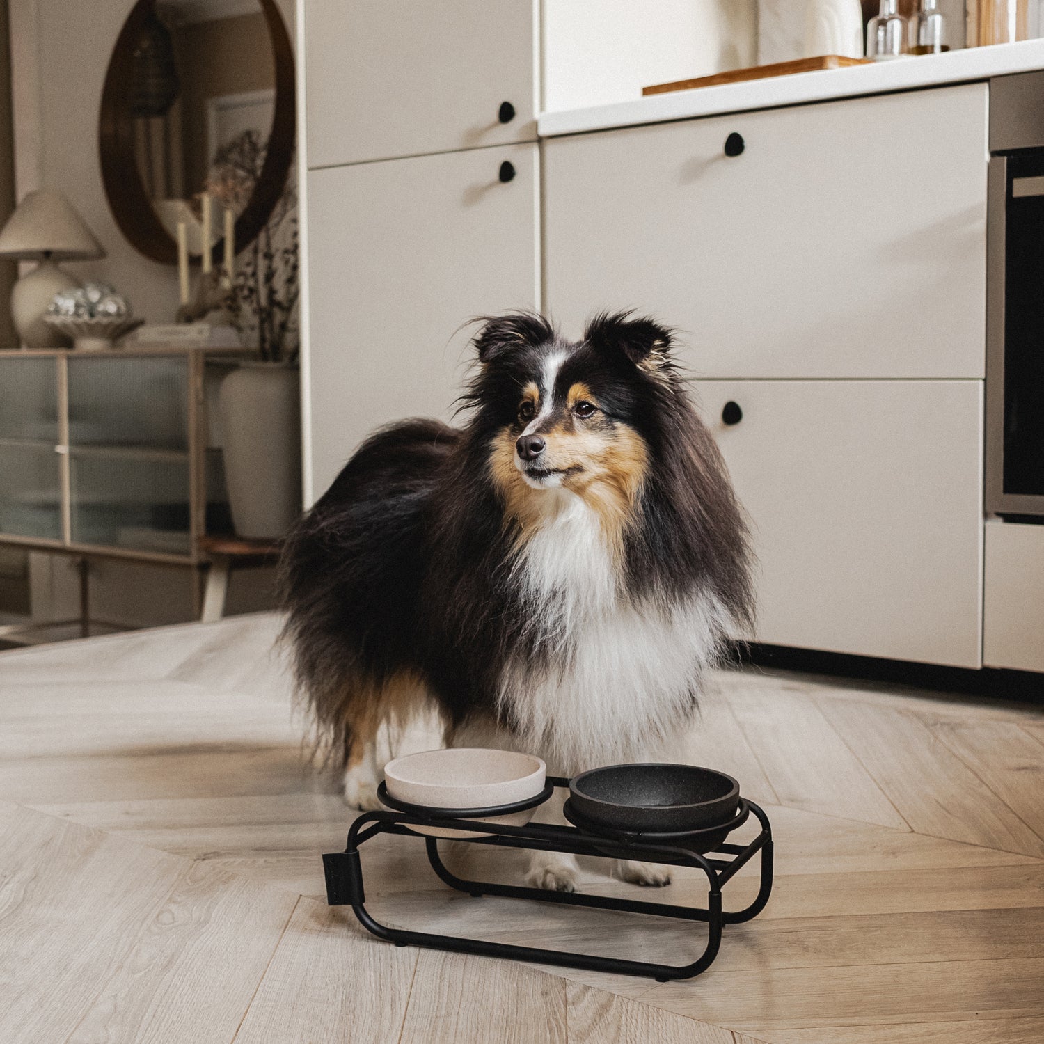 District 70 voerstandaard Butler zwart S 33,5 x 16 x 12,5 cm