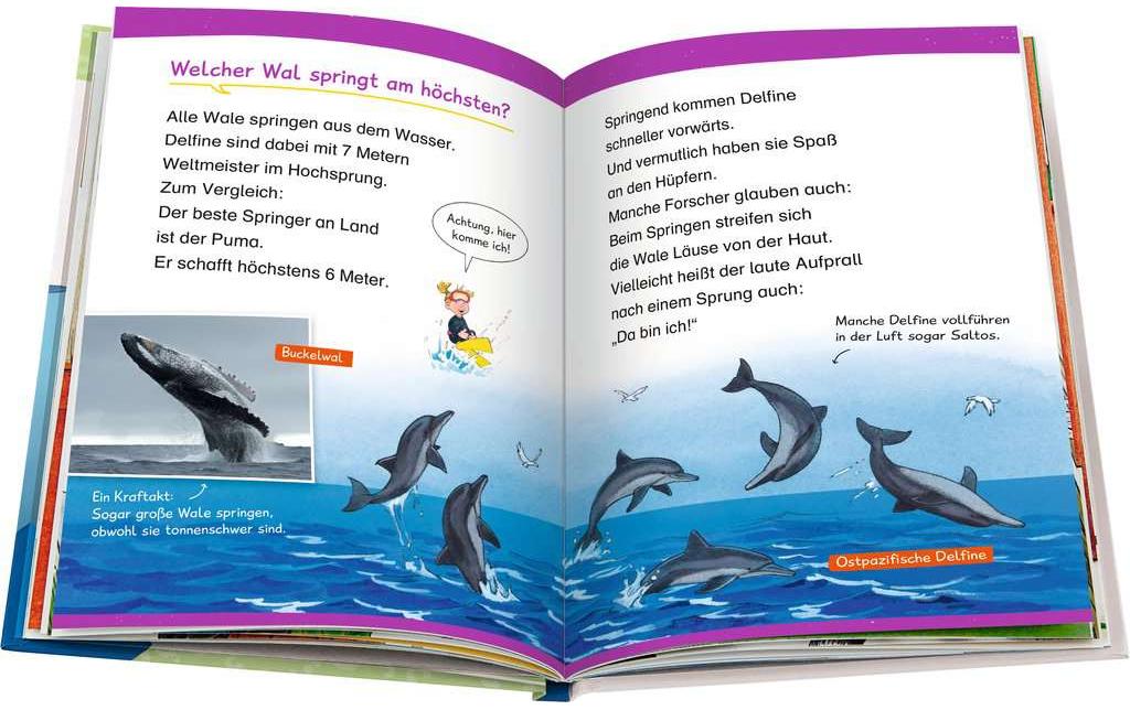 Kinder-Sachbuch WWW Erstleser: Wale und Delfine Band 3Spielerisch lesen lernen