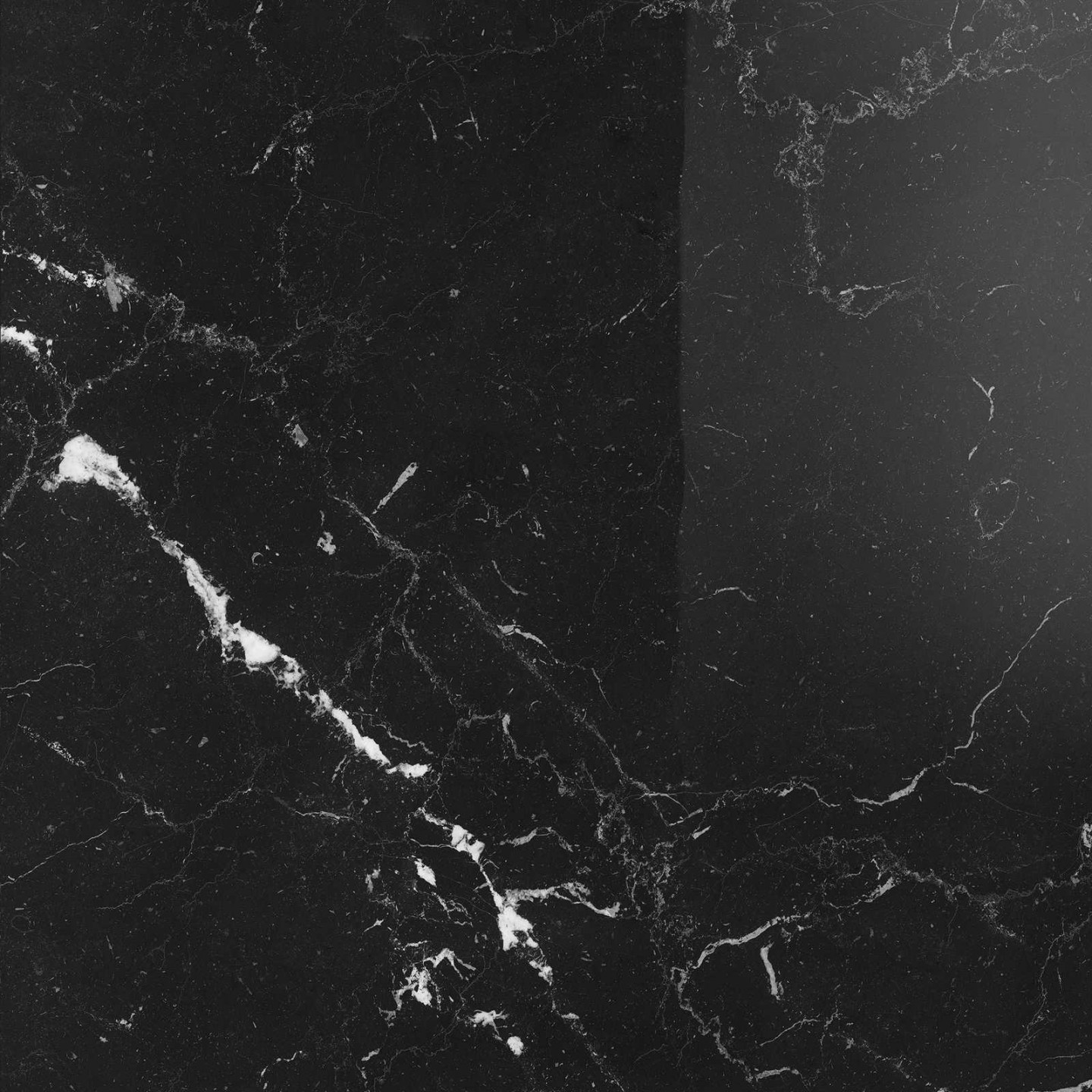 Tegelsample: Navale Mármore vloertegel 60x60cm elegant black glans gerectificeerd