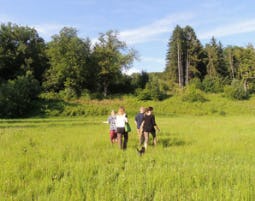 Kräuterwanderung in Wien als Geschenkidee