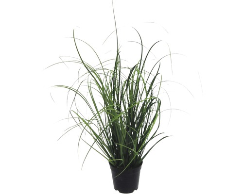 Kunstgras struik, kunststof, hoogte: 50 cm, groen
