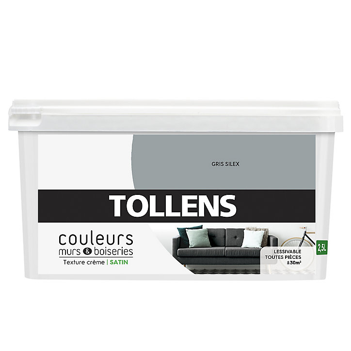 Peinture murs et boiseries Tollens gris silex satin 2,5L