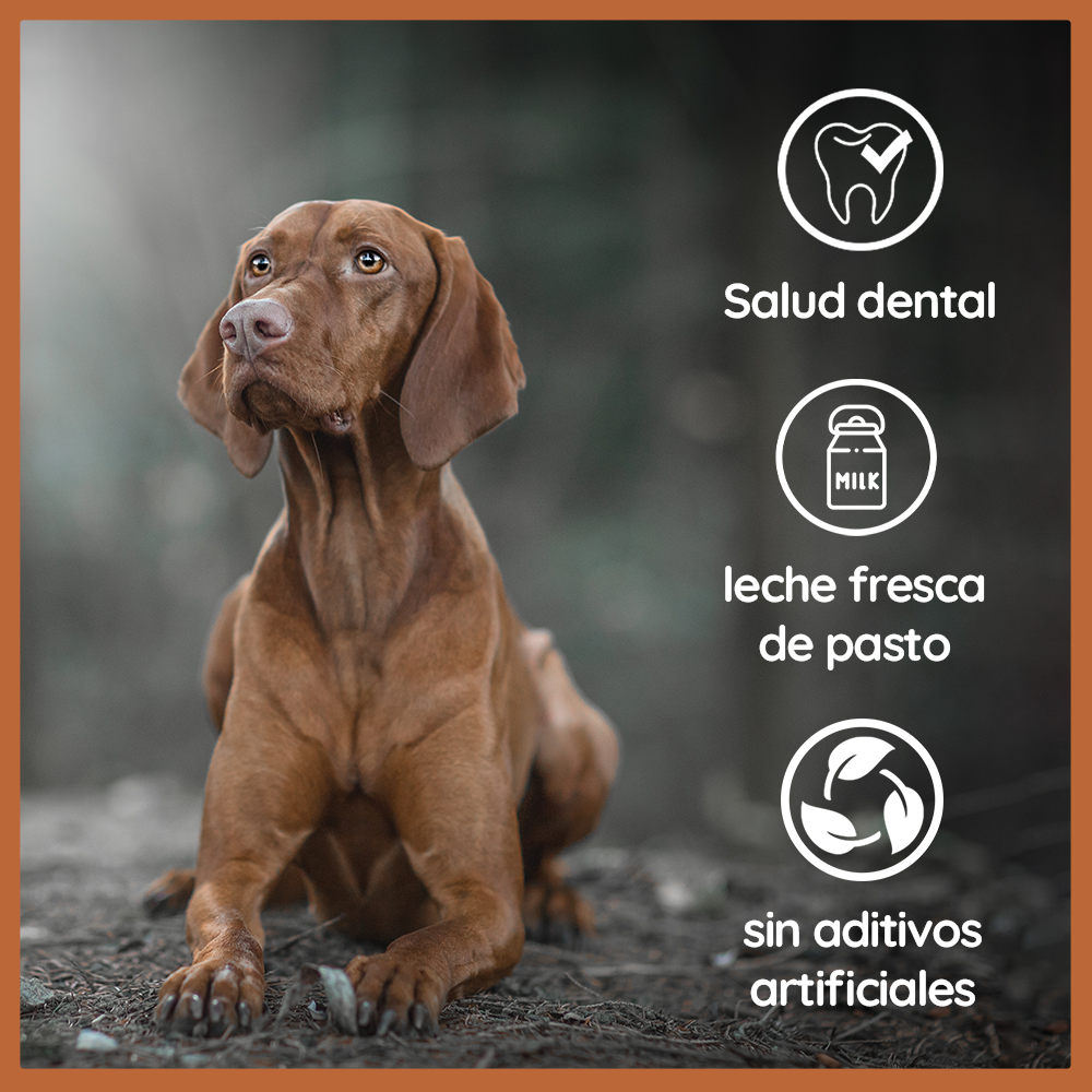 Wildfang® Palitos Mastigáveis de Queijo Duro de Iaque, Baseados na Receita Himalaia para Cães - Tamanho G