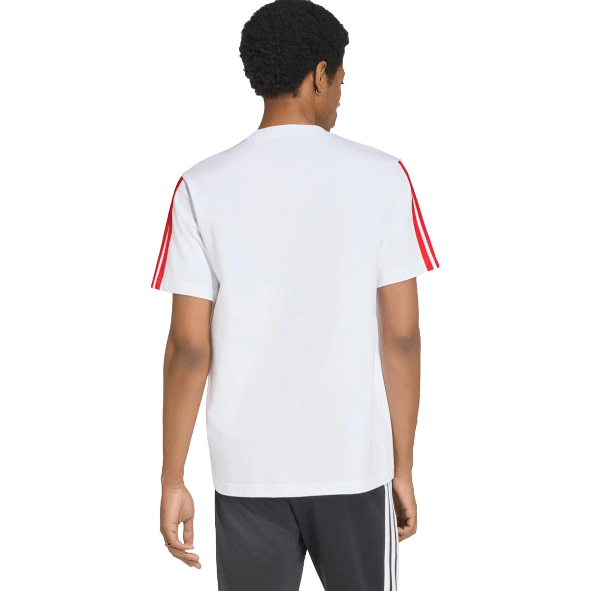 T-Shirt adidas SL Benfica Fanswear 2026-2027