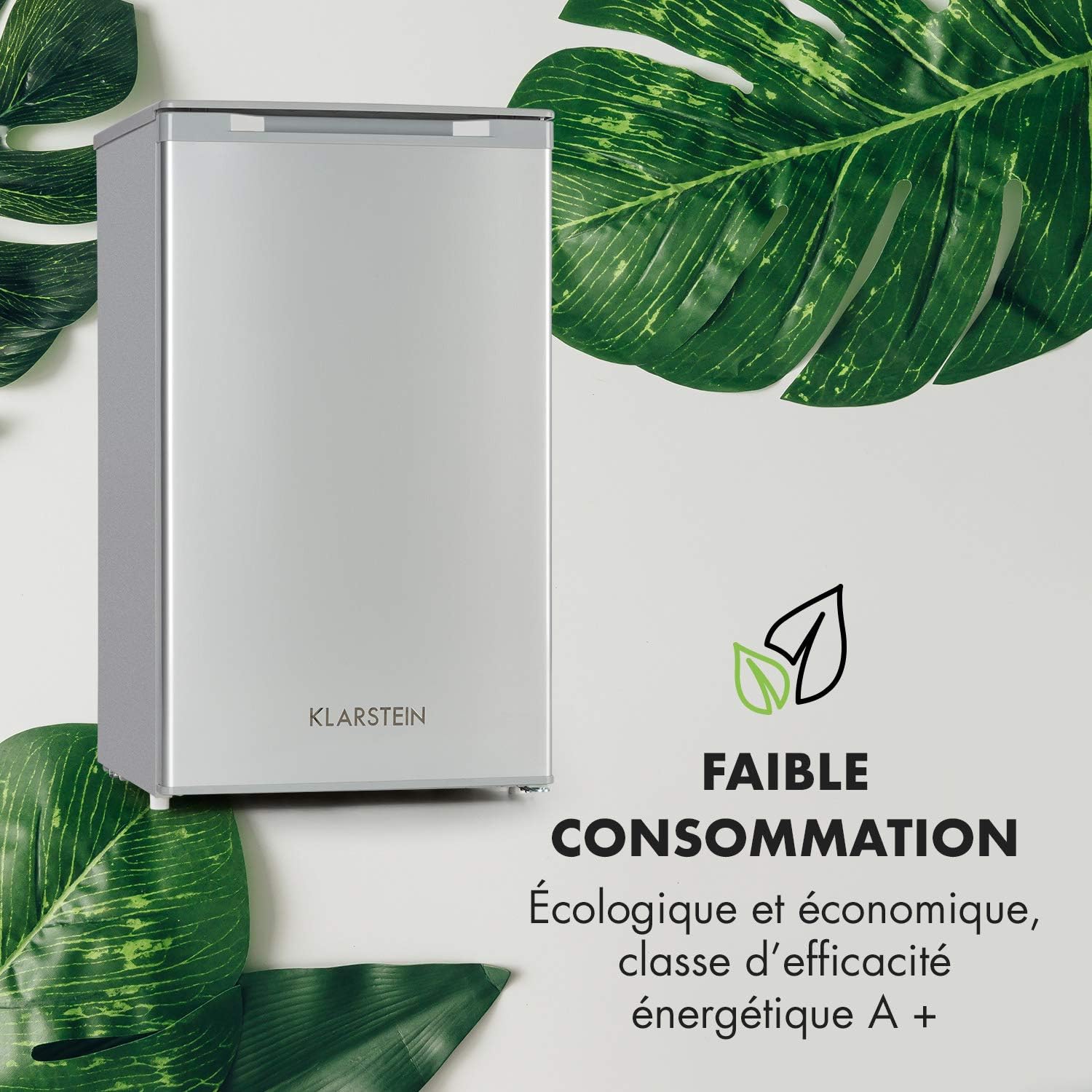 Klarstein Mini Congelateur Armoire, pour la Chambre et la Maison, 64L, Taille avec Etagère, Econome en Energie, Appareil à glaçons et Grattoir