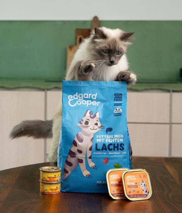 Edgard & Cooper Nassfutter für Katzen