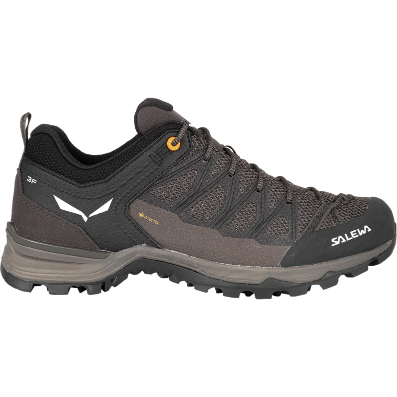 Salewa Herren MTN Trainer Lite GTX Schuhe