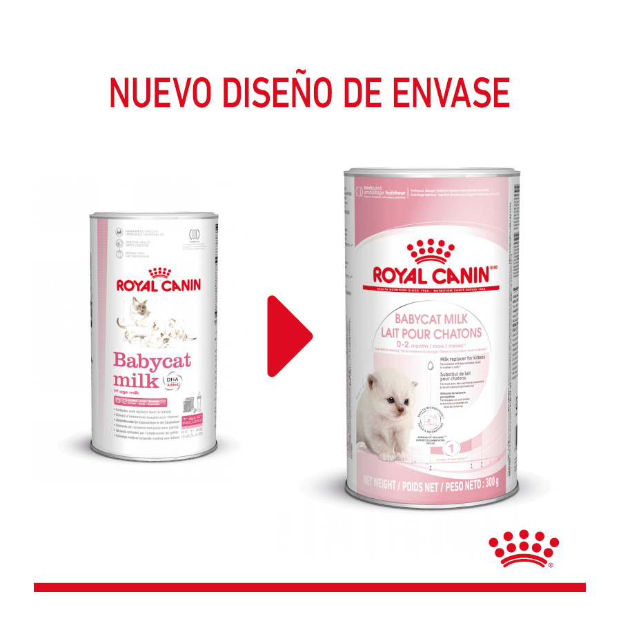 Leite Royal Canin para gatinhos no primeiro ano de vida.