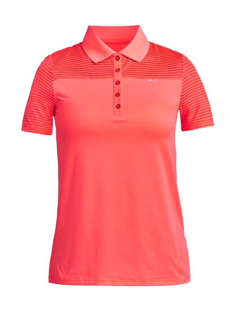 Rohnisch  Miko Polo