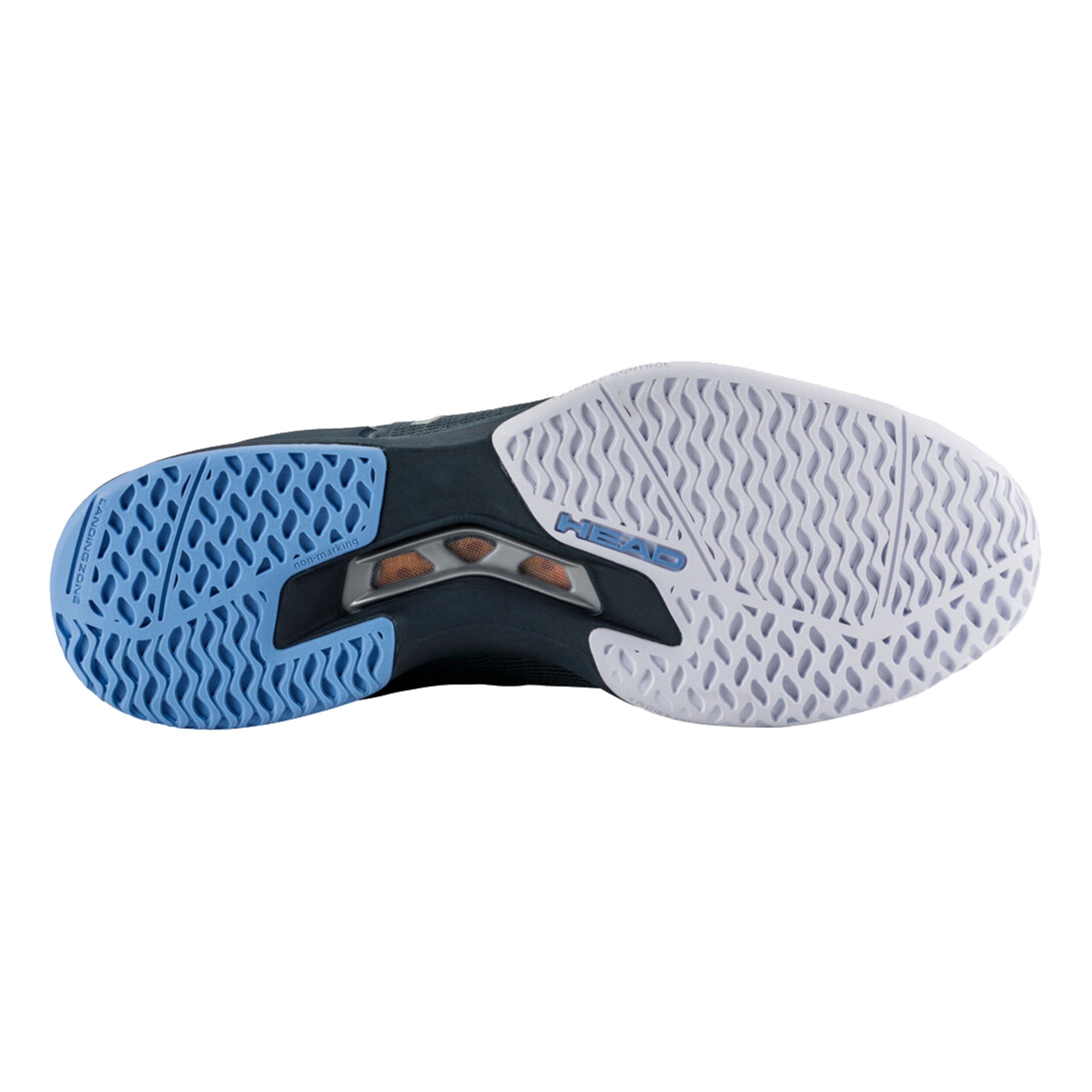 HEAD Sprint Pro 3.5 Chaussures Toutes Surfaces Hommes - Gris Foncé, Bleu