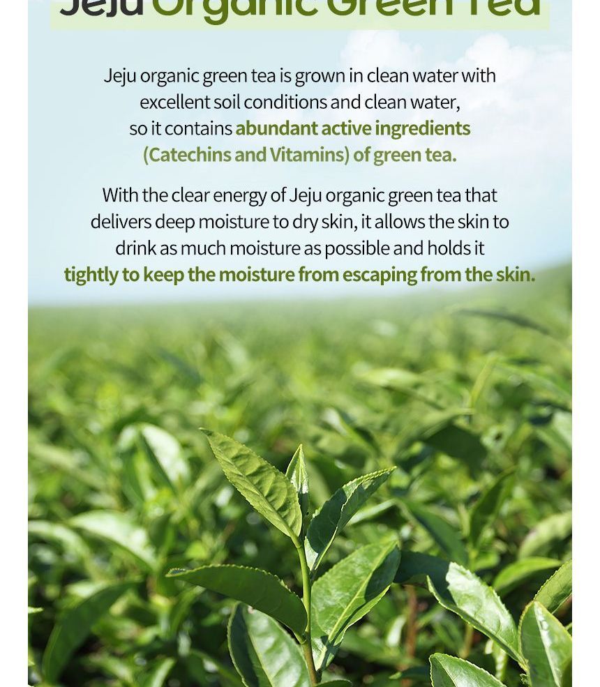 ingrediënten - Jeju Groene Thee Reinigingsbal