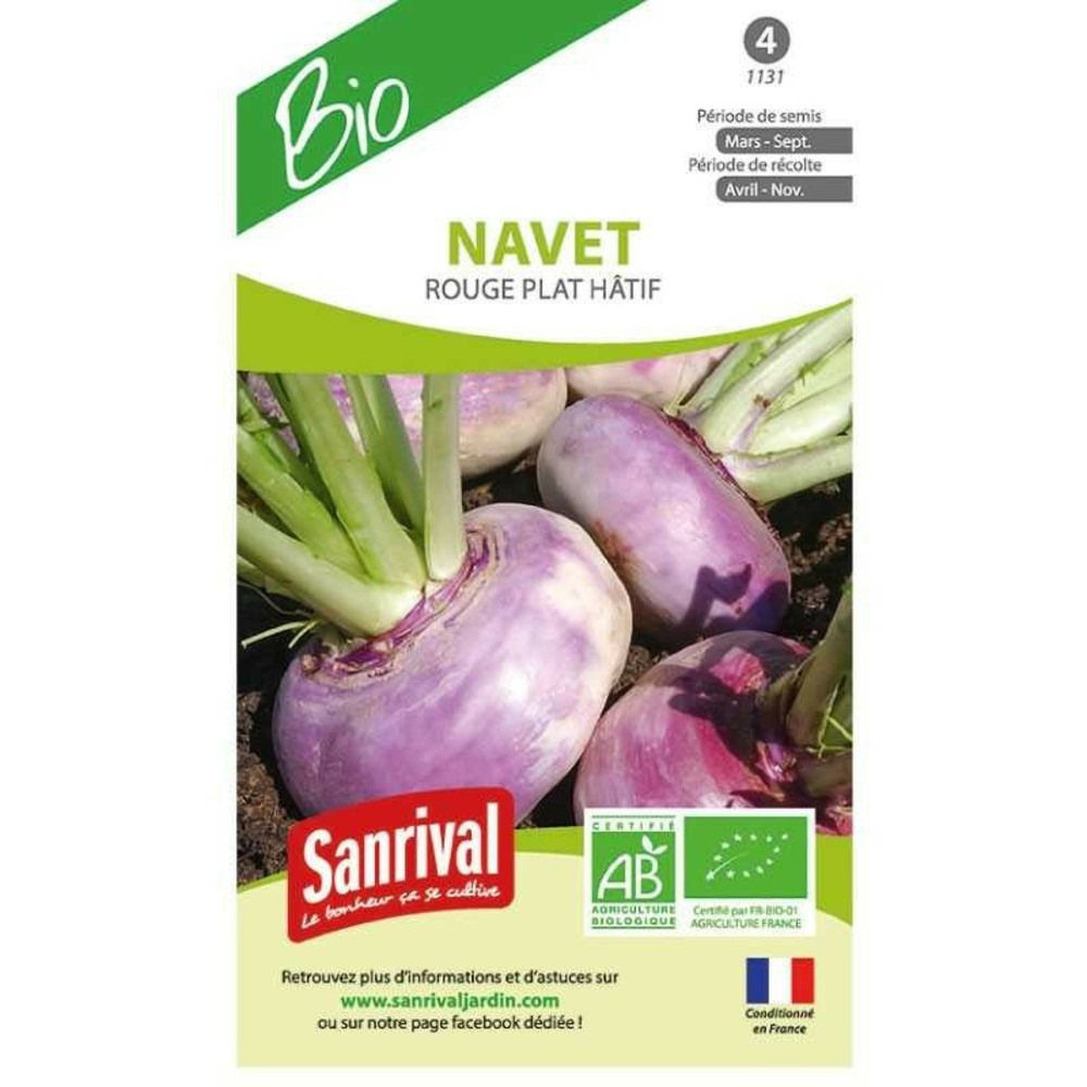 Graines navet rouge plat hâtif
