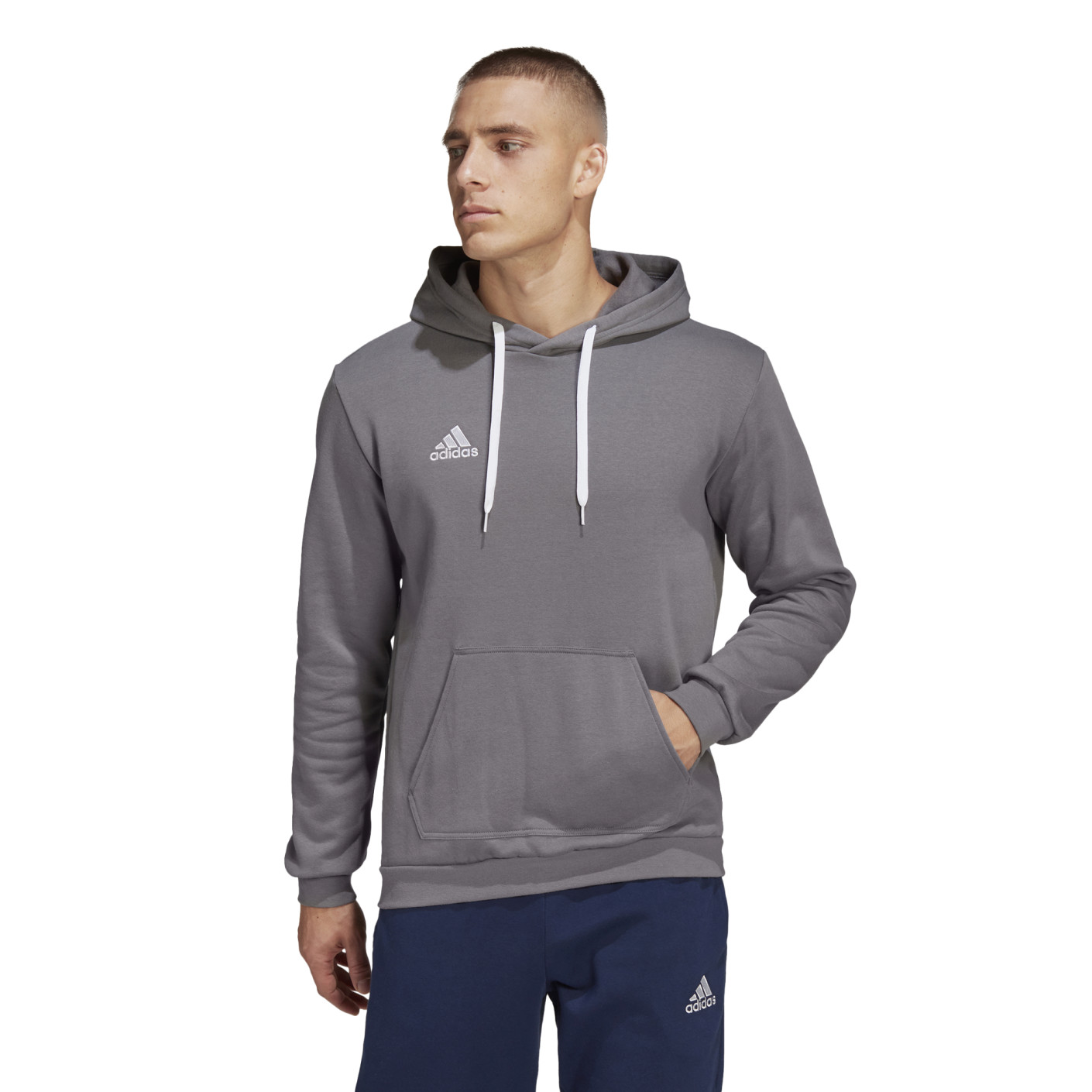 Adidas Entrada 22 Sweat Hoodie Grijs Wit