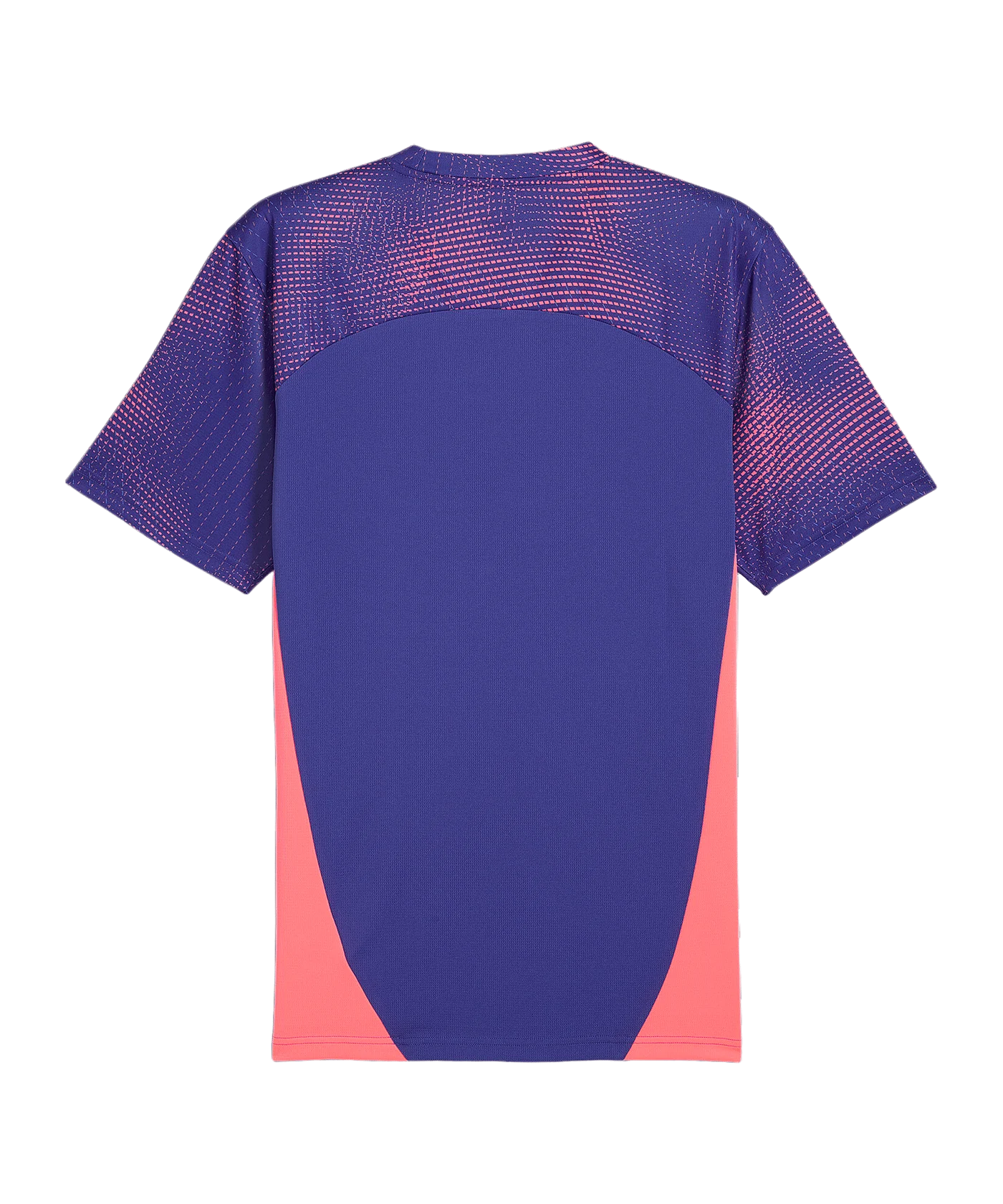 PUMA individualFINAL Trikot Blau F01