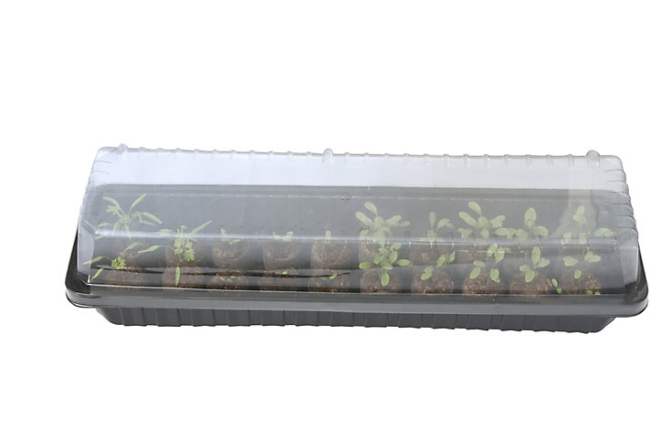 Mini serre allongée Jany H. 13,5 cm x L. 57,5 cm