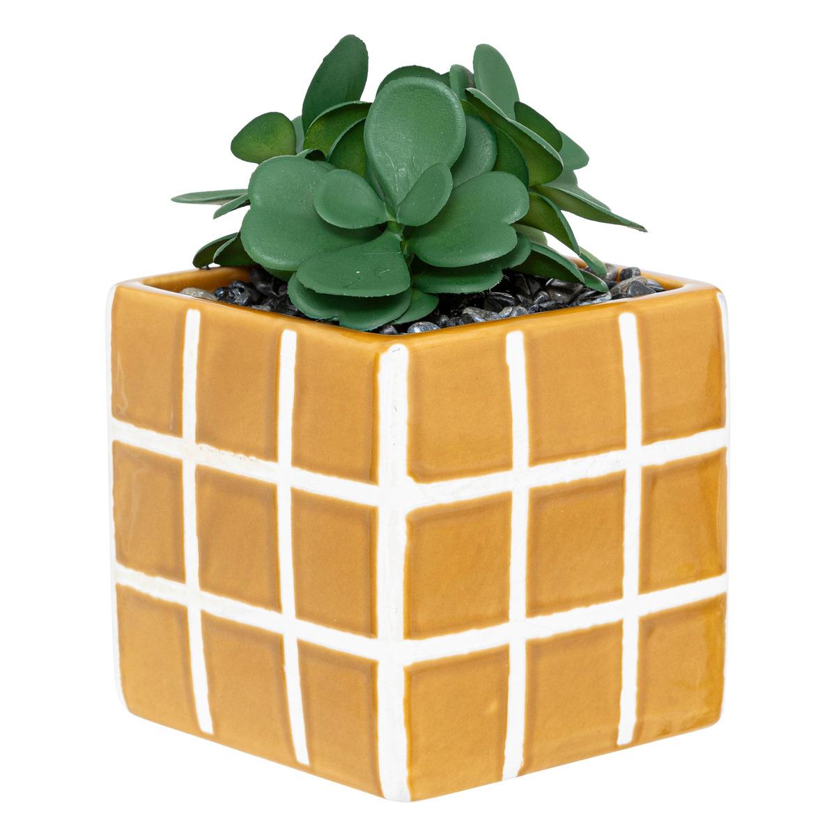 PLANTE FAMILY CORNER POT CERAMIQUE H.17CM